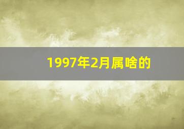 1997年2月属啥的