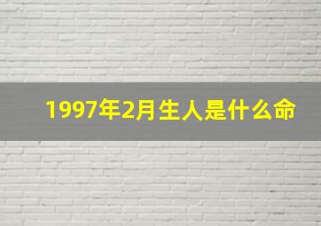 1997年2月生人是什么命