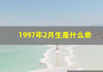 1997年2月生是什么命