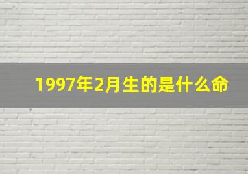 1997年2月生的是什么命