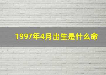 1997年4月出生是什么命