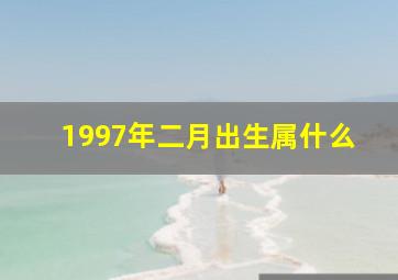 1997年二月出生属什么