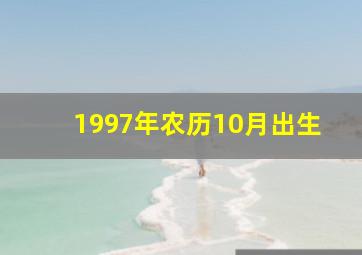 1997年农历10月出生