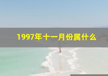 1997年十一月份属什么