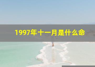 1997年十一月是什么命