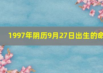 1997年阴历9月27日出生的命