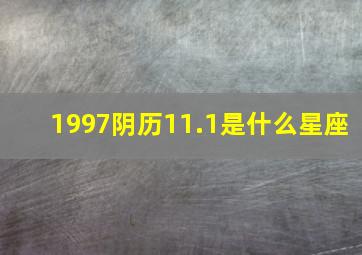 1997阴历11.1是什么星座