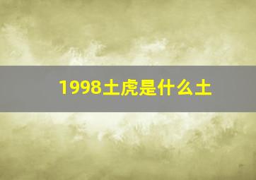 1998土虎是什么土