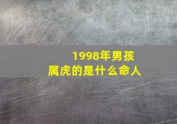 1998年男孩属虎的是什么命人