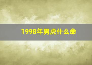 1998年男虎什么命