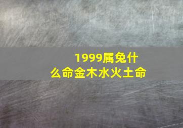 1999属兔什么命金木水火土命