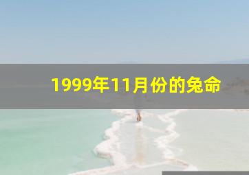 1999年11月份的兔命