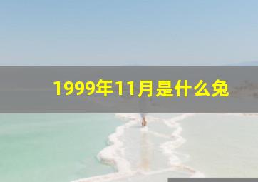 1999年11月是什么兔