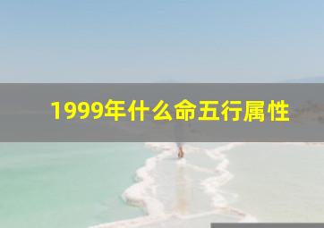 1999年什么命五行属性