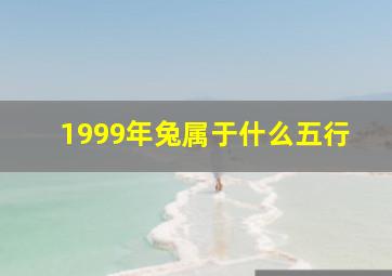 1999年兔属于什么五行