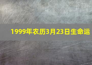 1999年农历3月23日生命运