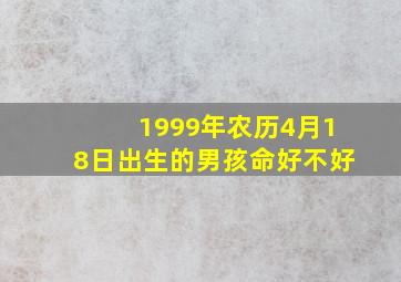 1999年农历4月18日出生的男孩命好不好