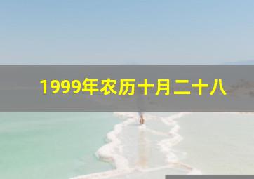 1999年农历十月二十八