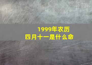 1999年农历四月十一是什么命