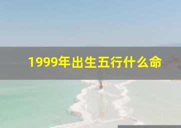 1999年出生五行什么命