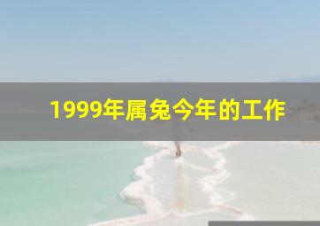 1999年属兔今年的工作