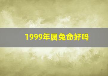 1999年属兔命好吗