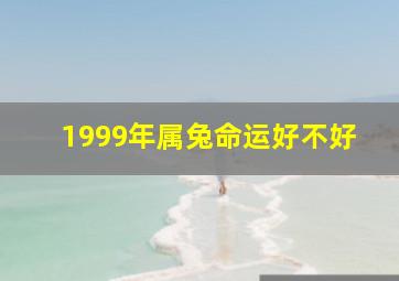 1999年属兔命运好不好