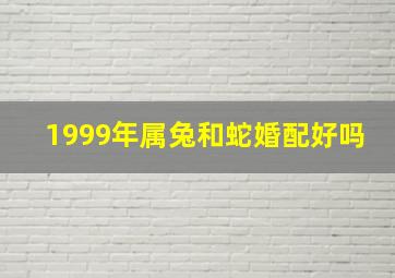 1999年属兔和蛇婚配好吗