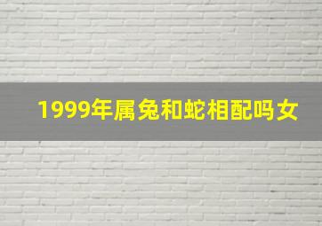 1999年属兔和蛇相配吗女