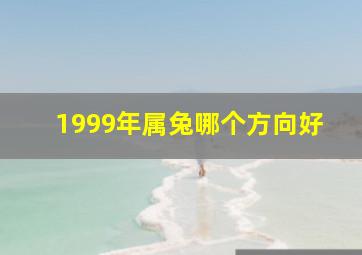 1999年属兔哪个方向好