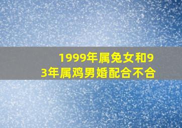 1999年属兔女和93年属鸡男婚配合不合