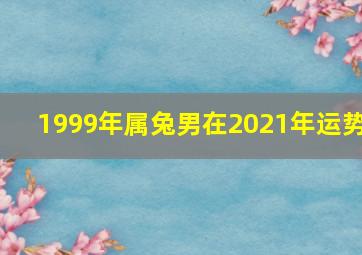 1999年属兔男在2021年运势