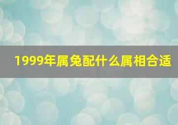 1999年属兔配什么属相合适