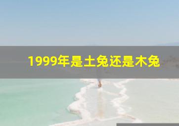 1999年是土兔还是木兔