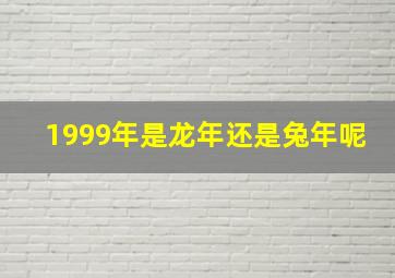 1999年是龙年还是兔年呢