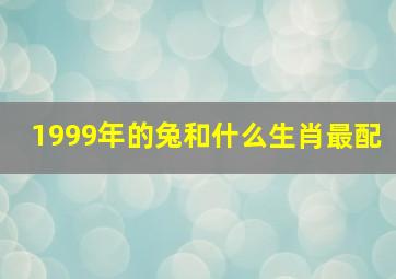 1999年的兔和什么生肖最配