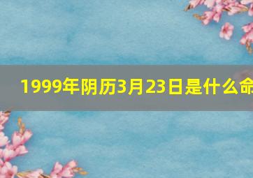 1999年阴历3月23日是什么命