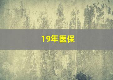 19年医保