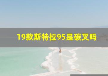 19款斯特拉95是碳叉吗