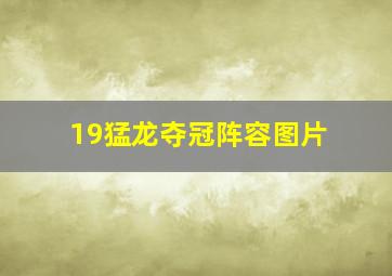 19猛龙夺冠阵容图片