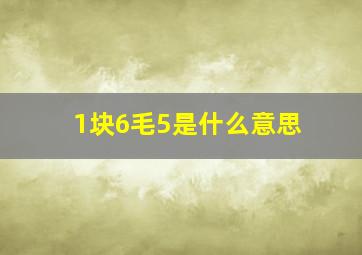 1块6毛5是什么意思