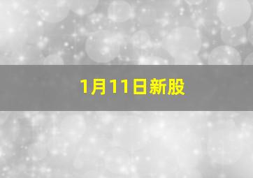 1月11日新股