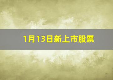 1月13日新上市股票