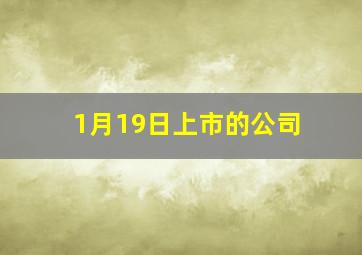 1月19日上市的公司