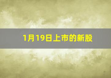 1月19日上市的新股