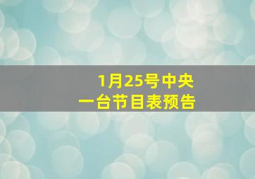 1月25号中央一台节目表预告