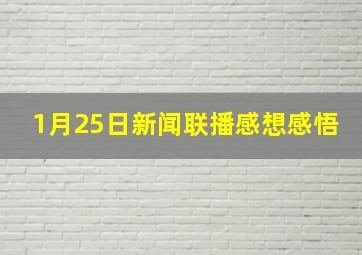 1月25日新闻联播感想感悟