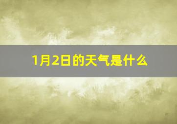 1月2日的天气是什么