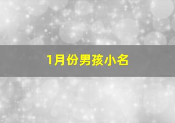 1月份男孩小名