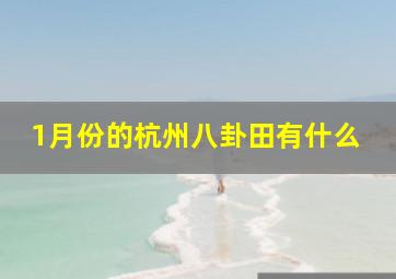 1月份的杭州八卦田有什么